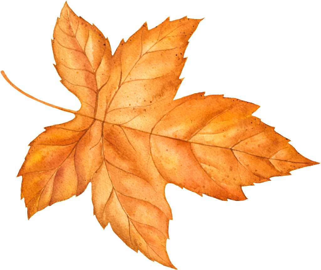 Autumn Yellow Leaves Vector - Euclidean Vector (1024x860), Png Download
