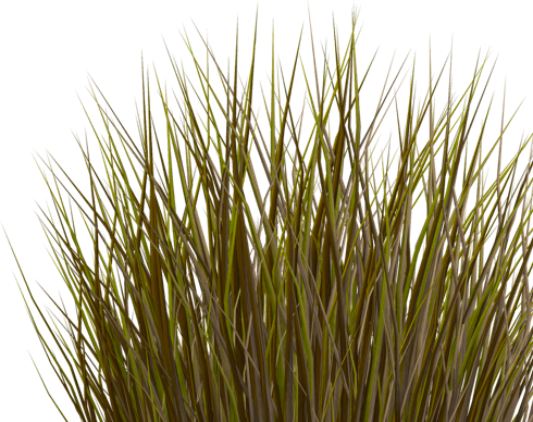 Full Delivery Contracting Where Payment Is Associated - Grass Leaves Texture Png (490x388), Png Download