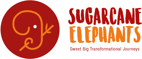 Microsoft Picture It! (528x253), Png Download