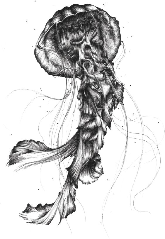 Jellyfish By Camille Levrier Dlicate Distorsion - Jellyfish Tattoo Png (1000x1000), Png Download