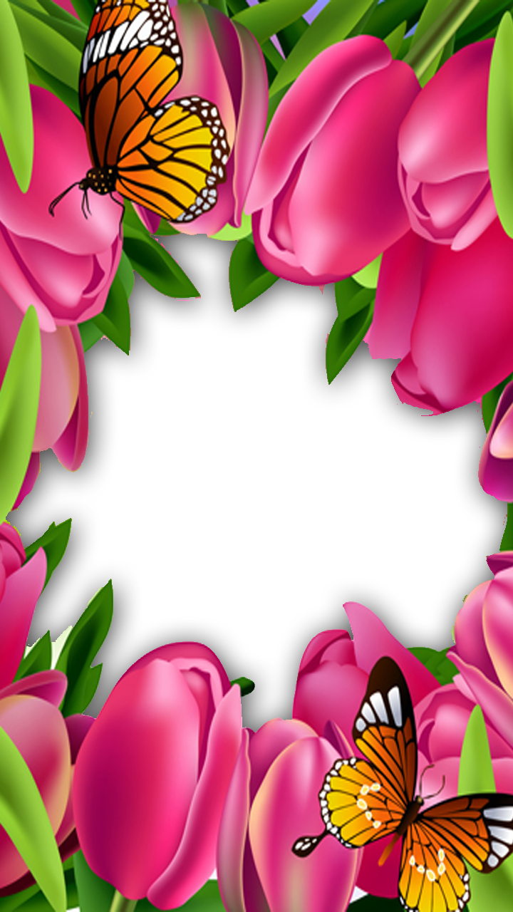 Rose Flower Frame With Butterfly - Beautiful Pink Rose Flower (720x1280), Png Download