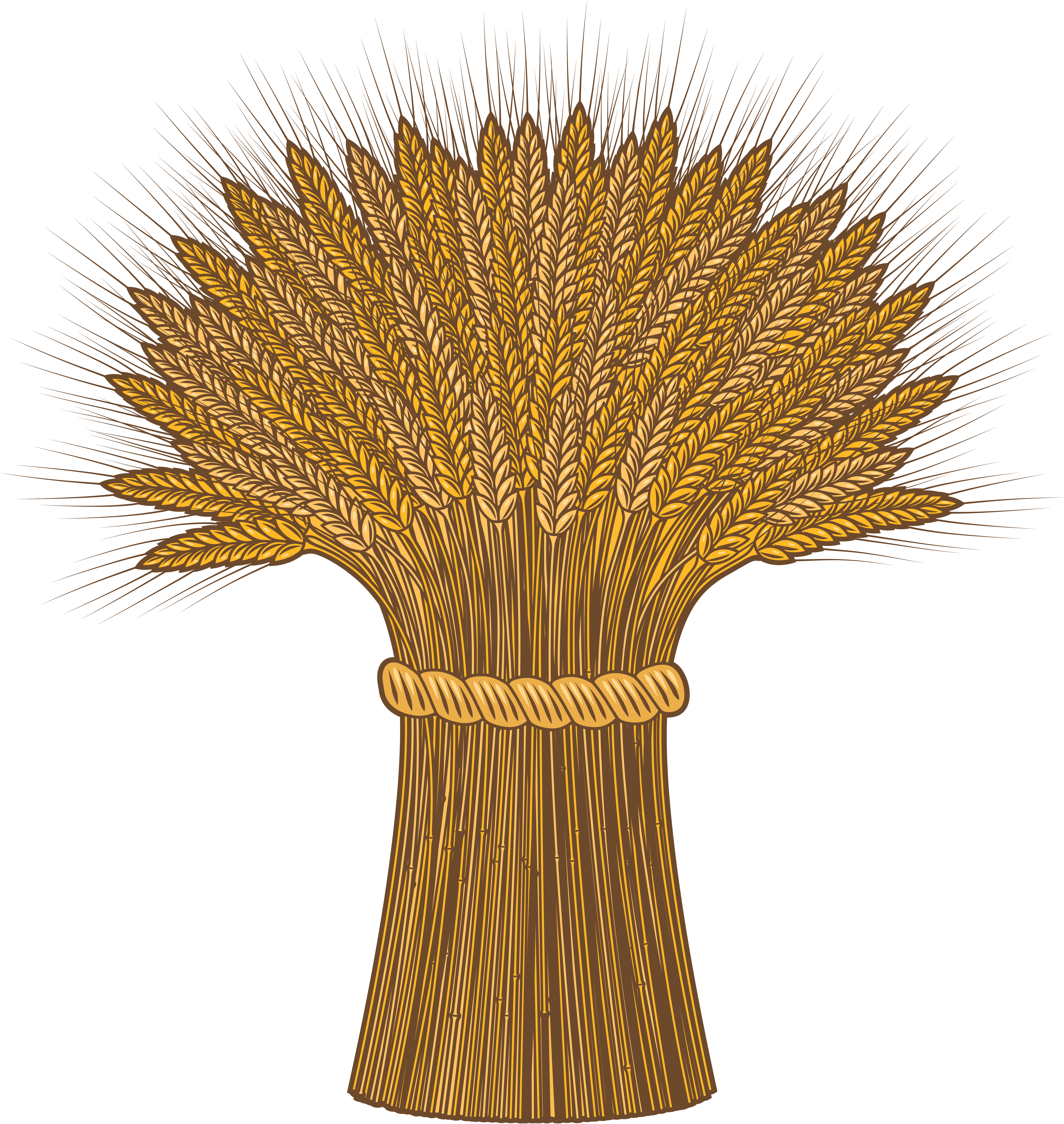 Wheat Png - Cartoon Harvest (5394x5694), Png Download