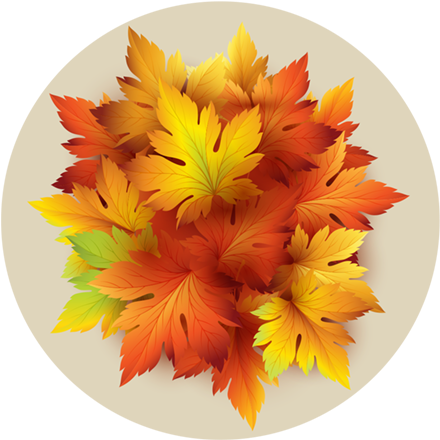 Autumn Yellow Leaves - 벡터 일러스트 타이포그래피 잎 가을 일러스트 (446x446), Png Download