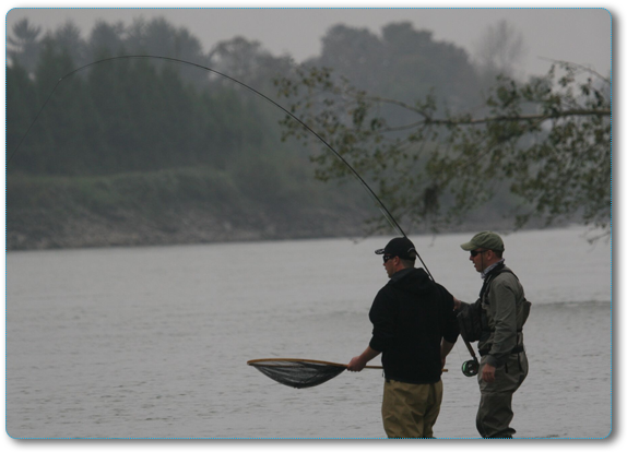 Best Fly Fishing With Bc Sportfishing Group - Bc Sportfishing Group (600x448), Png Download