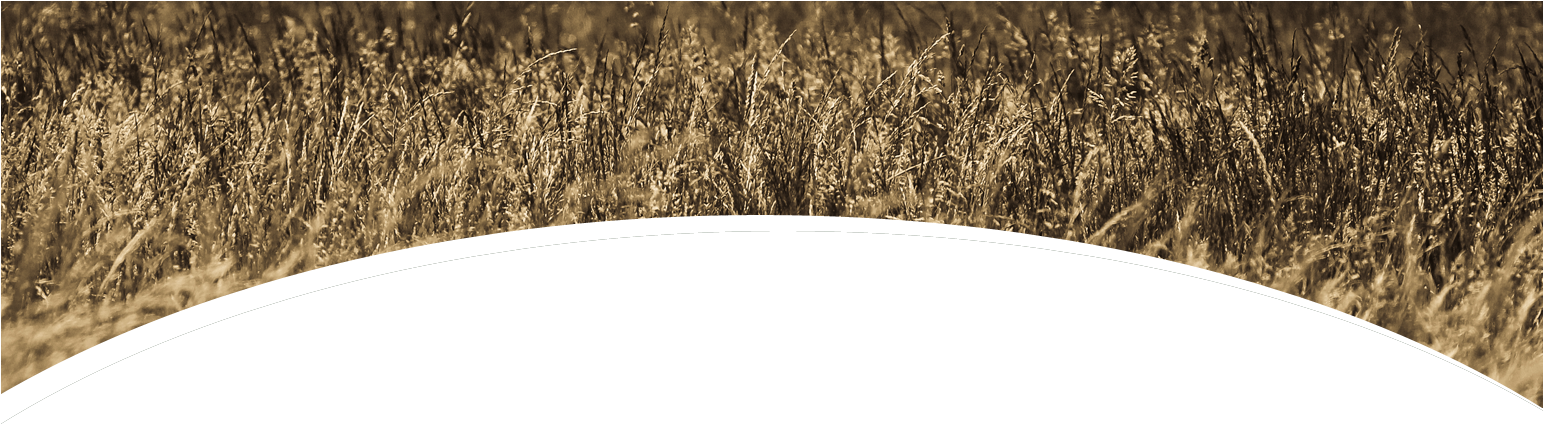 Charles County, Maryland (1542x451), Png Download