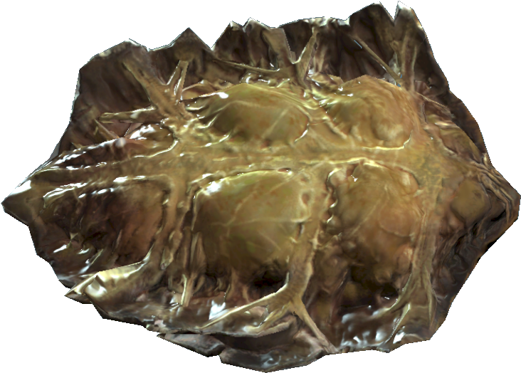 Fo4 Radroach Meat - Meat (833x594), Png Download