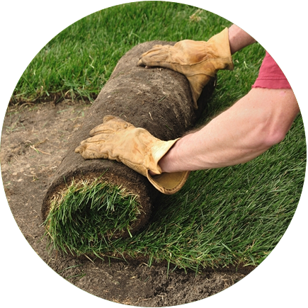 Sod - Grass Sod (435x435), Png Download