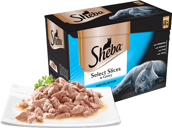 Fish Collection Cat Food Pouches - Sheba Cat Food (584x418), Png Download