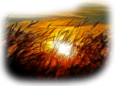 Sun Behind Grass - Painting (430x330), Png Download