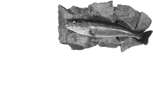 Fish - Gulf Flounder (535x326), Png Download