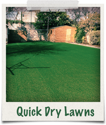 Our Garden Grass Is Quickly Dry After Rain - Mis Quince (miss Xv) (510x510), Png Download