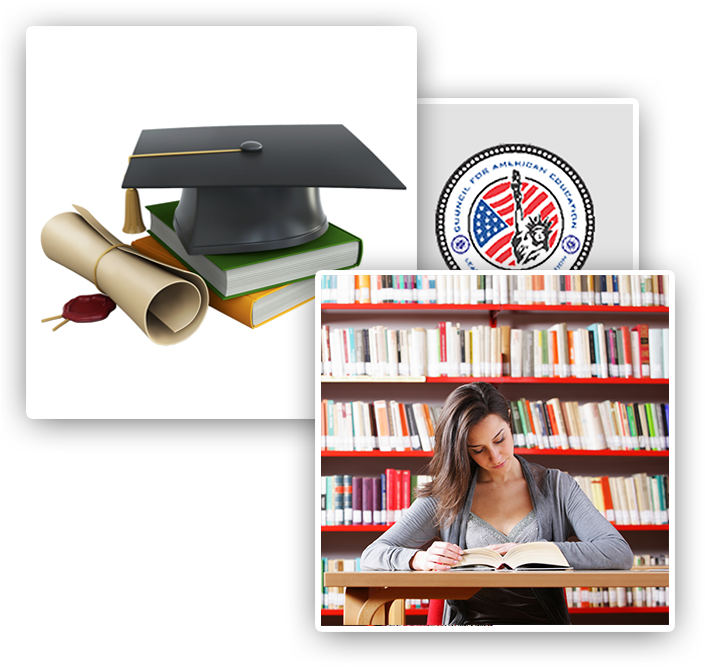 Top Universities In Usa And Canada For Indian Students - Ideas For Decorating Christmas Trees University (785x790), Png Download