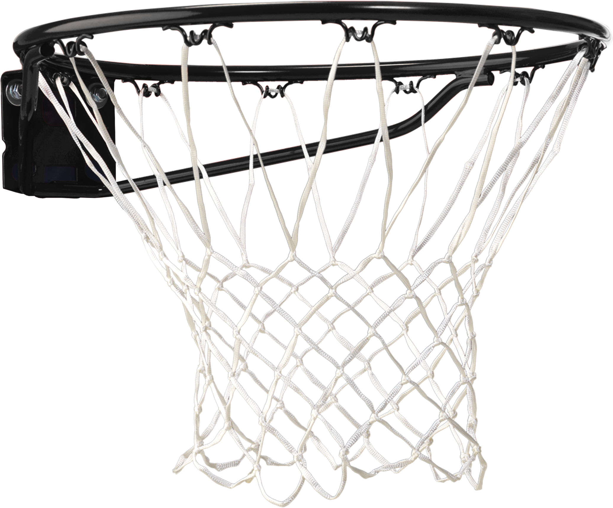 Standard Basketball Rim - Basketball (2232x2768), Png Download
