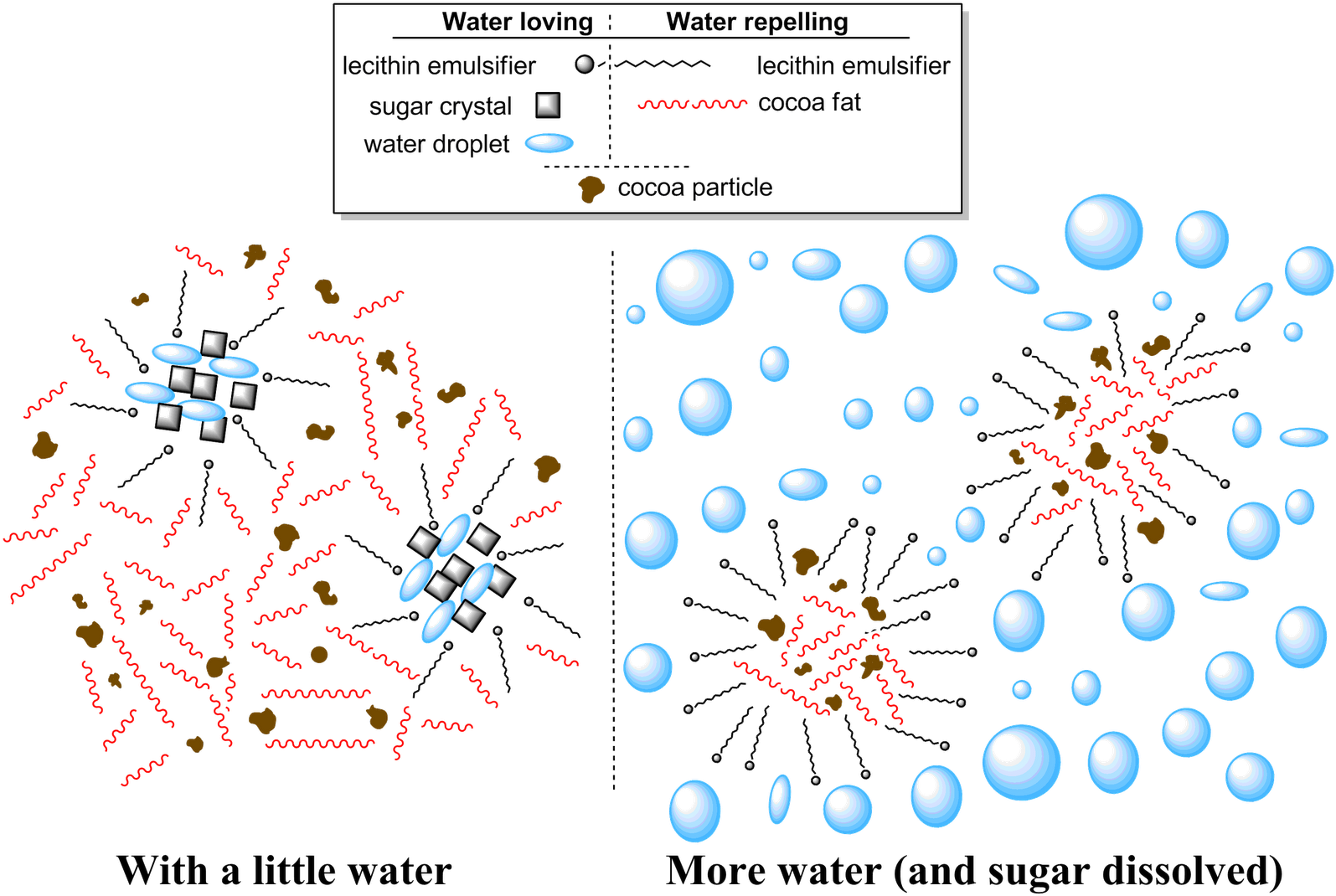 Schematic Drawing Of The Above Photos - Chocolate (1600x1077), Png Download