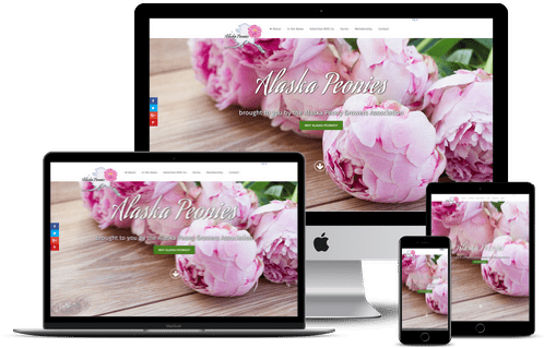 A Recent Project - Pink Peonies Photography By Eazl, Size: 24 X 16, Green (600x450), Png Download