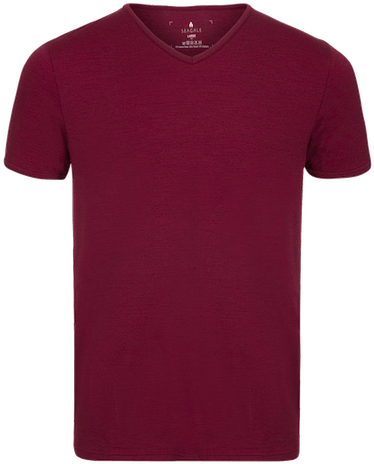 Action Merino V-neck Tee - Shirt (400x492), Png Download
