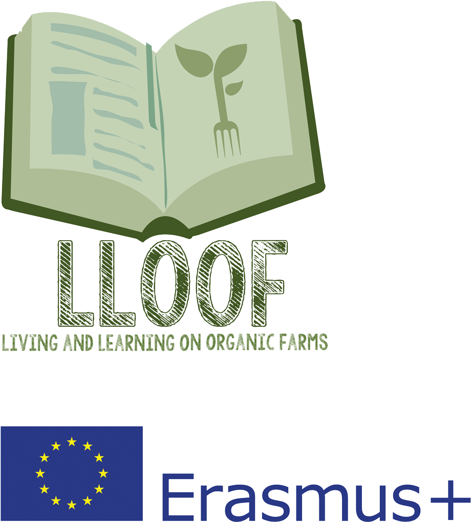 Member Login - Tasmania Explore The Possibilities (1000x1177), Png Download