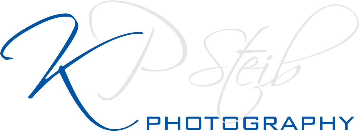 Kpsteib Photography - Dorothy Perkins (1242x468), Png Download