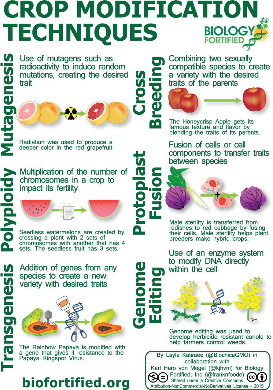 Vertical Png - Fondation Marcelle Et Jean Coutu (901x1284), Png Download