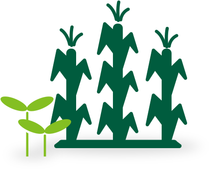 Federal Crop - Farm Crop Png (600x354), Png Download