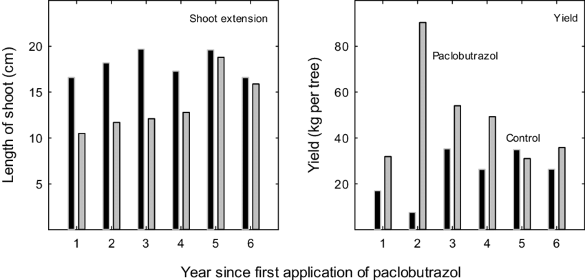 Effect Of Paclobutrazol On The Performance Of 'alphonso' - City (850x407), Png Download