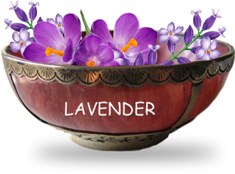 Goayur-lavender - Pre Order (420x356), Png Download