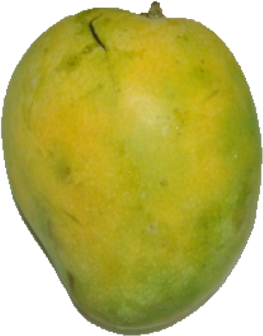 Banginapalli Mangofruits - Imampasanth Mango (500x515), Png Download