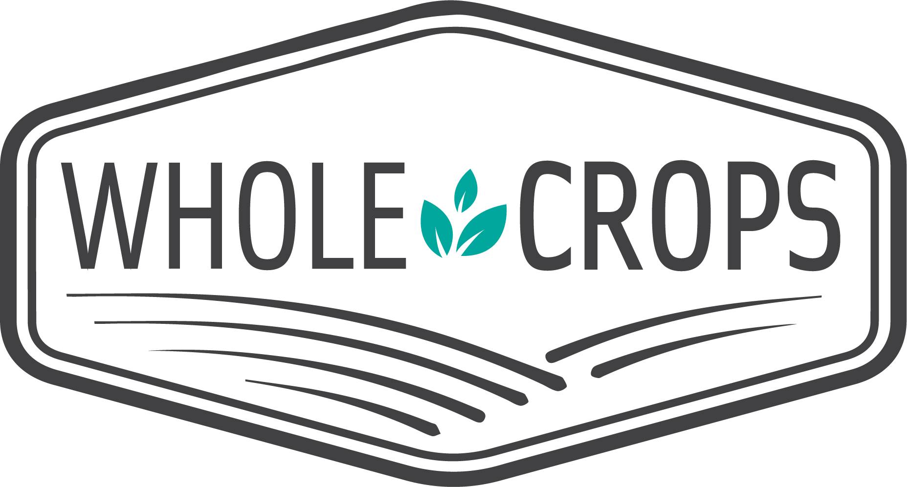 Heilbronn University (1855x997), Png Download