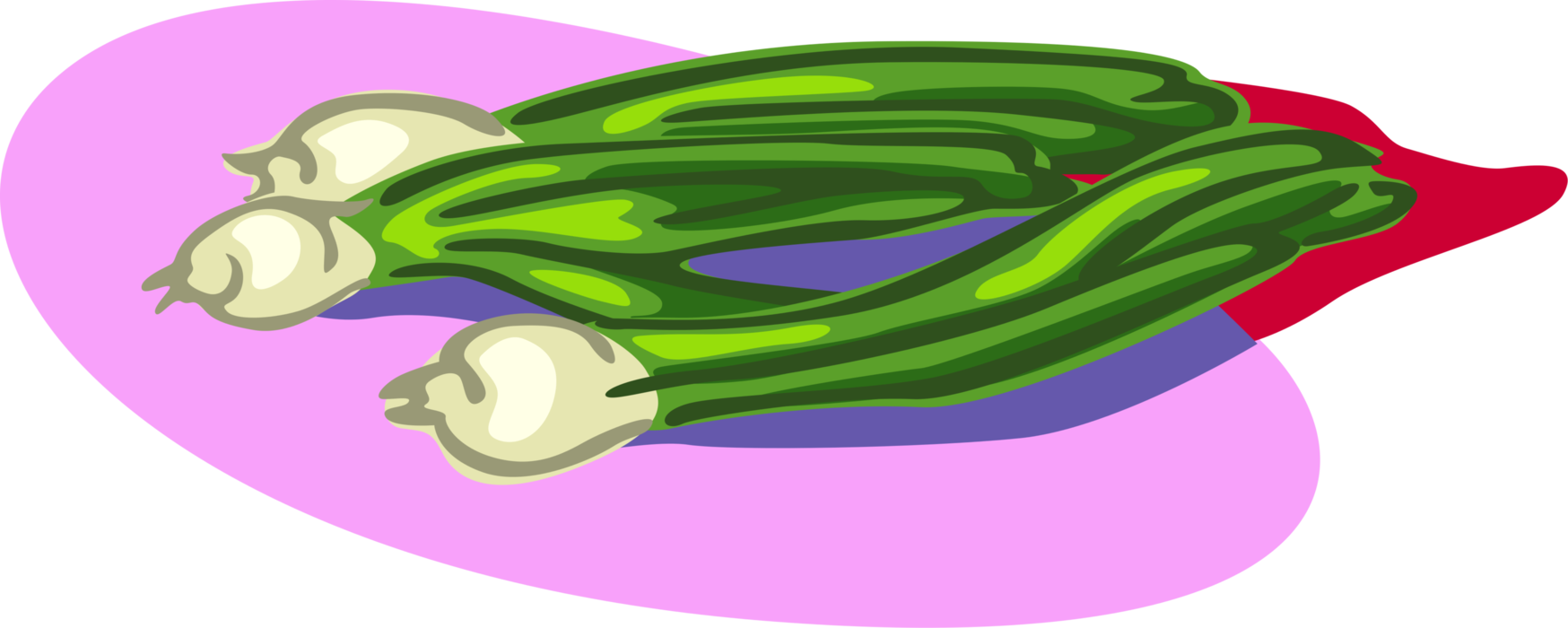 Vector Illustration Of Scallion Onion Shallot Vegetable - Onion (1748x700), Png Download