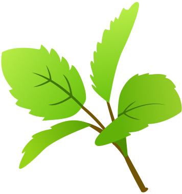 Tulsi - Hindi (356x380), Png Download