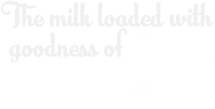 Organic Gir Cow Milk, Organic Gir Cow Ghee, Goodness - Milk (489x268), Png Download