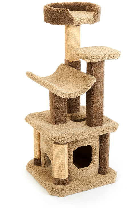 Roxie's Jungle Gym Short - Cat (800x800), Png Download