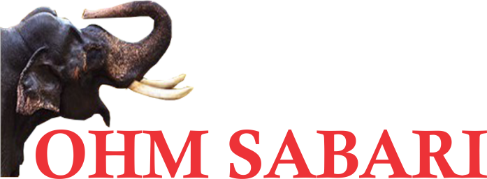 Premium - Horn (697x257), Png Download