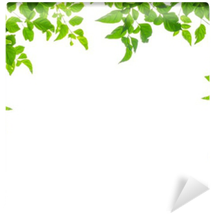 Tree (400x400), Png Download