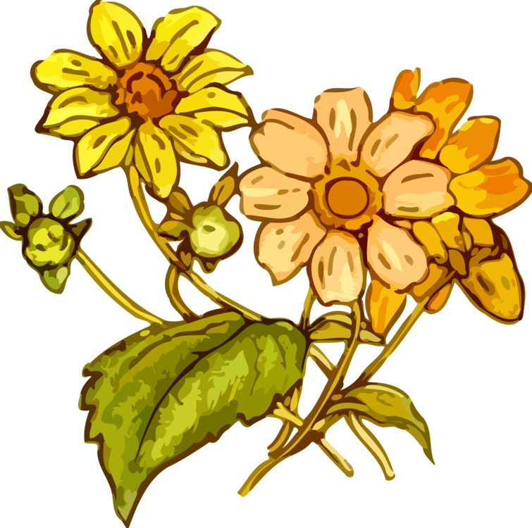 Floral Design Flowering Plant Cretaceous Plants - Yellow Flower Drawing Png (755x750), Png Download