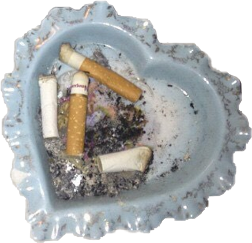 Polyvore (496x480), Png Download