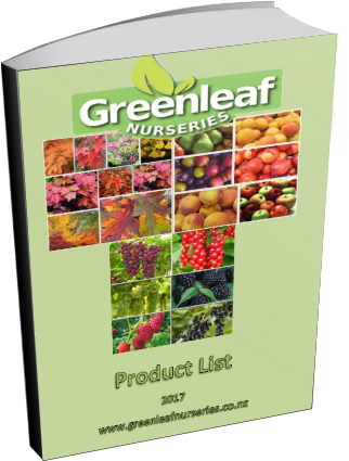 Downloadable Product List - Greenleaf Nurseries (346x445), Png Download