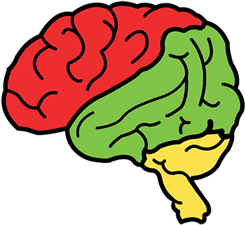 4) Enhancing Memory With Nicotine - Allergy (430x382), Png Download