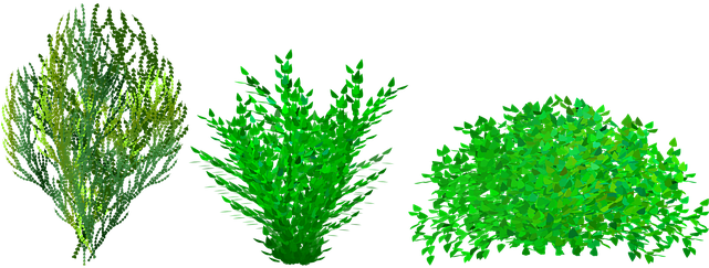 Taking Cuttings From Shrubs And Transplanting Them - Bush Clipart (640x320), Png Download