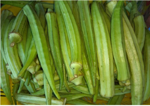 Ladies Finger Locally Grown - Okra (500x500), Png Download