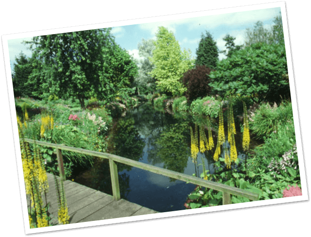 Time To Explore - Gooderstone Water Gardens (639x487), Png Download