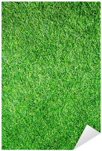 Artificial Grass Field Top View Texture Sticker • Pixers® - Lawn (400x400), Png Download