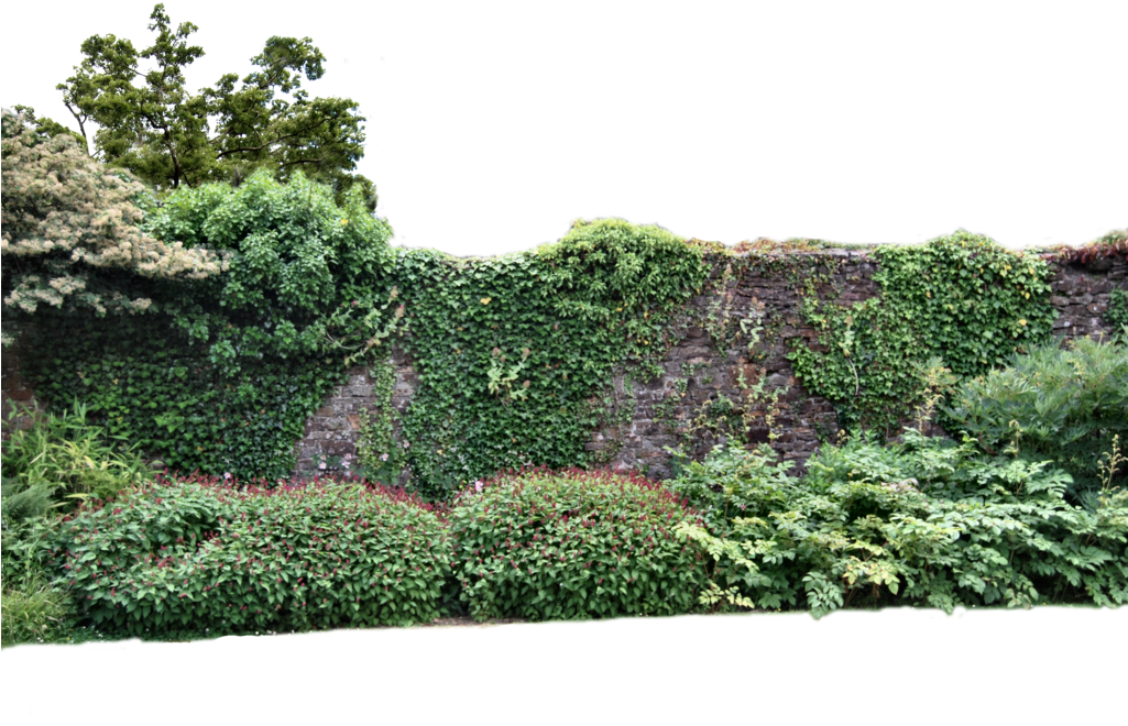 Walled Garden Png - Garden Png (1024x685), Png Download
