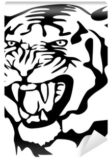 Cat (400x400), Png Download