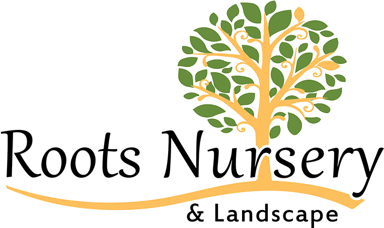 Mrs. Always Right Queen Duvet (800x488), Png Download