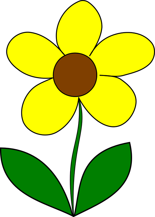 Yellow Flower Clip Art Png - Flower With 5 Petals Clipart (426x595), Png Download