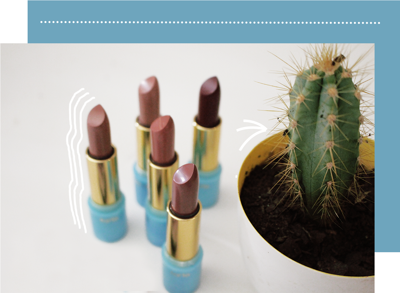 Colour Splash - Hedgehog Cactus (1369x1131), Png Download