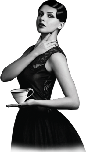 What's Distinctive And Perhaps Surprising To The Prudish - Photo Shoot (282x500), Png Download