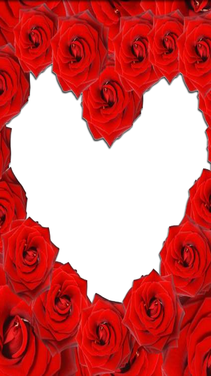 Red Rose Love Frame - Rose Love Frame (720x1280), Png Download