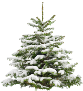 Prefer To Speak On The Phone You Can Call Us At - Christmas Tree Png (340x358), Png Download